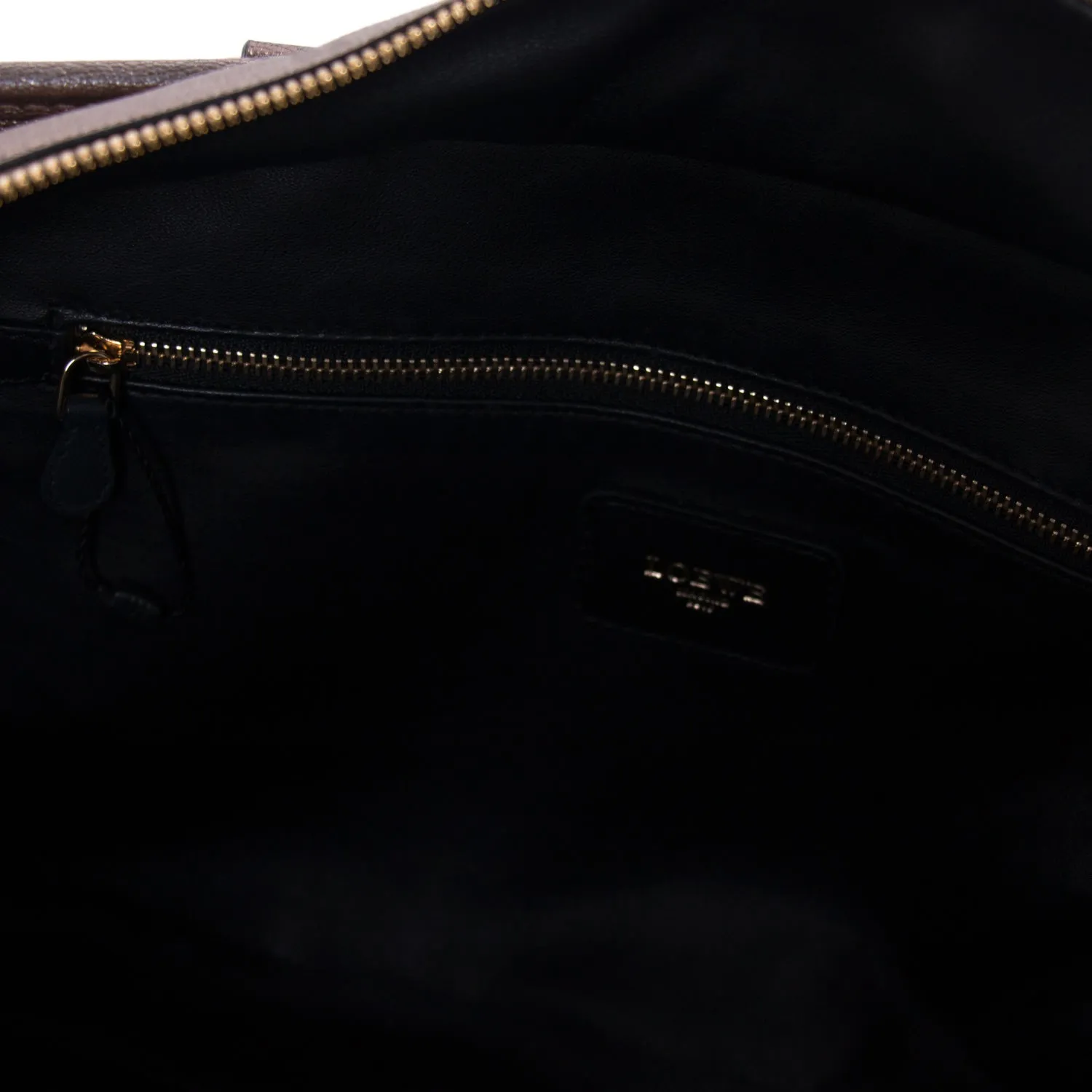 Loewe Metallic Leather Amazona 36