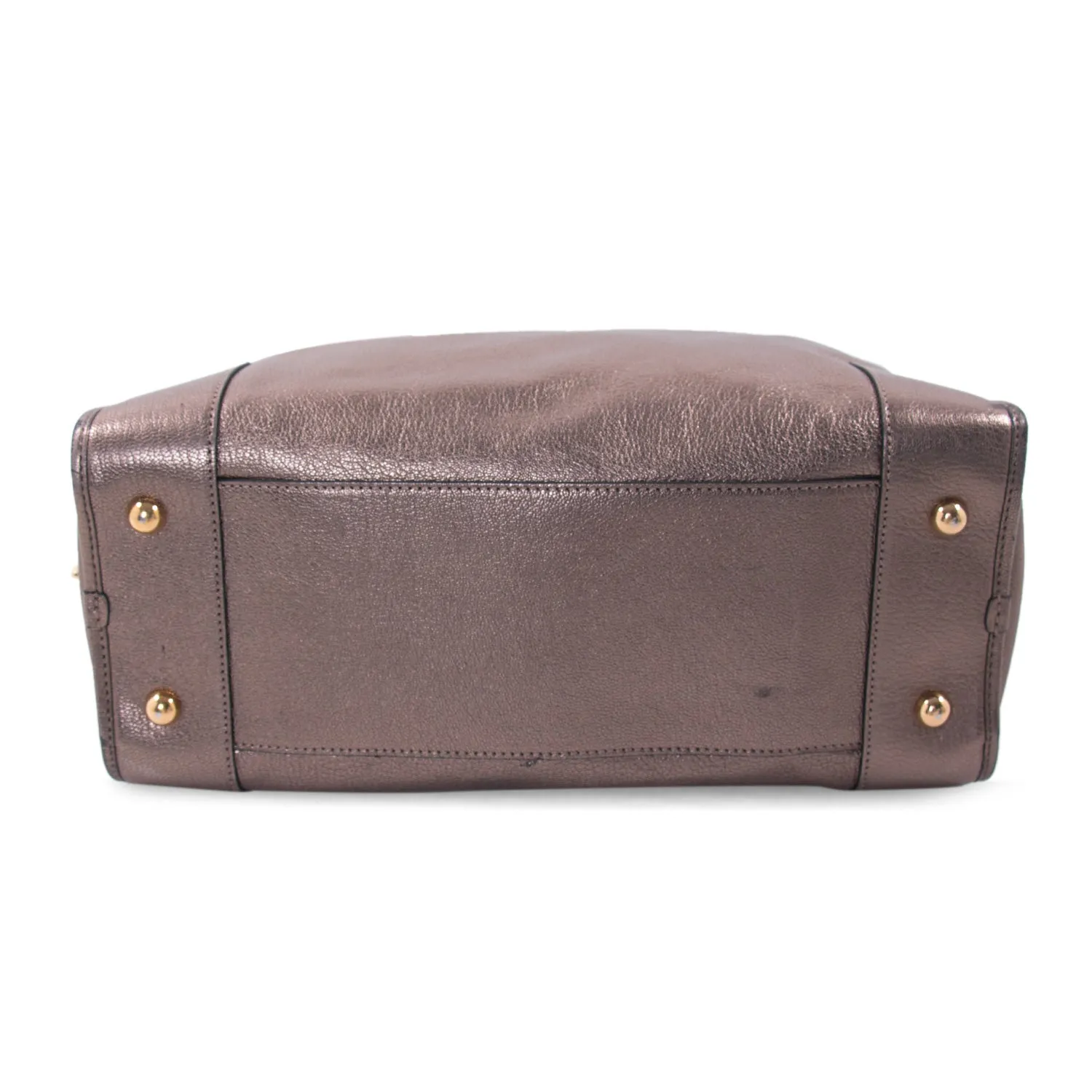 Loewe Metallic Leather Amazona 36