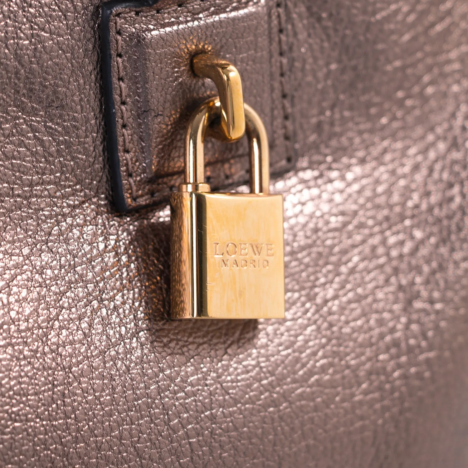 Loewe Metallic Leather Amazona 36