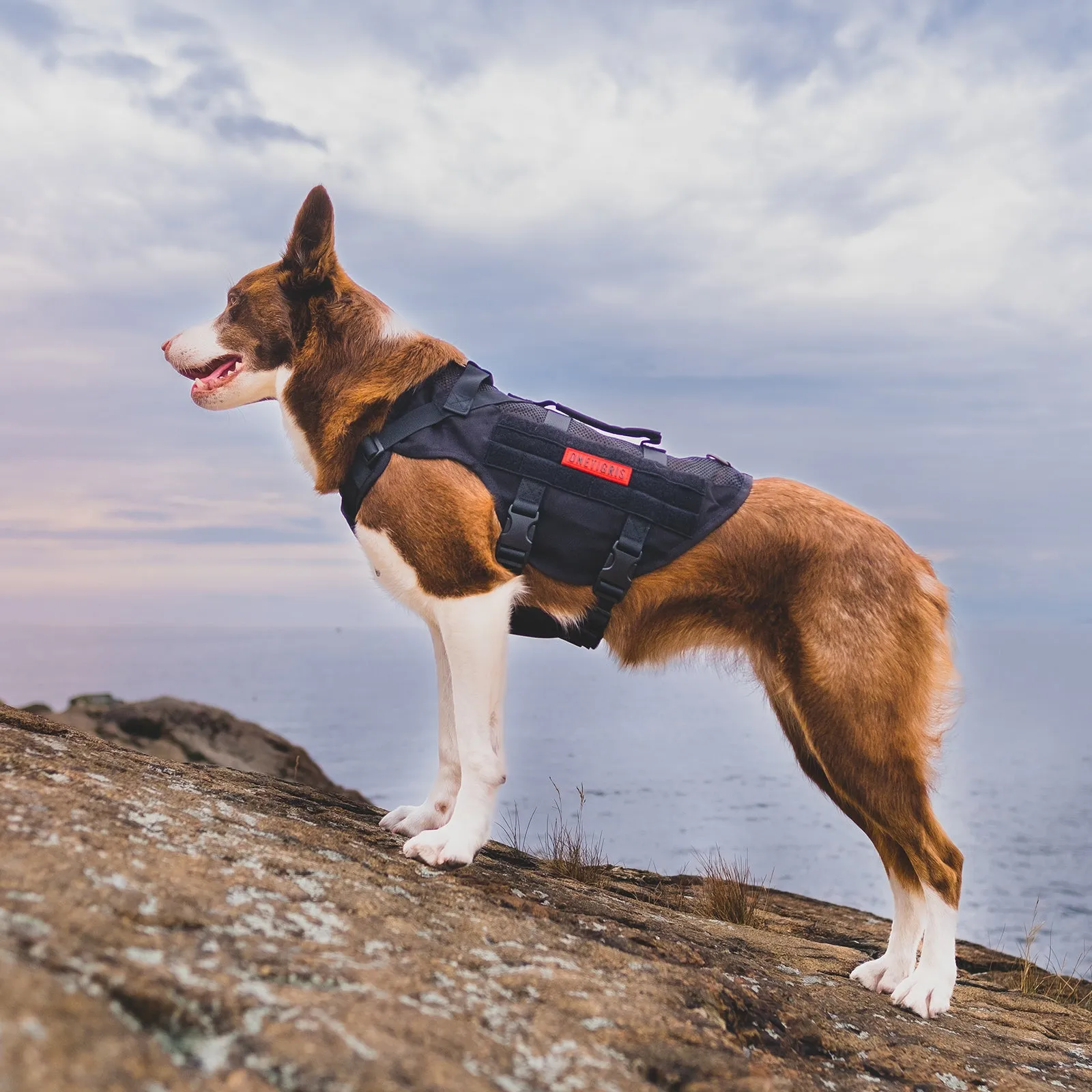 ONETIGRIS AIRE Mesh Dog Harness
