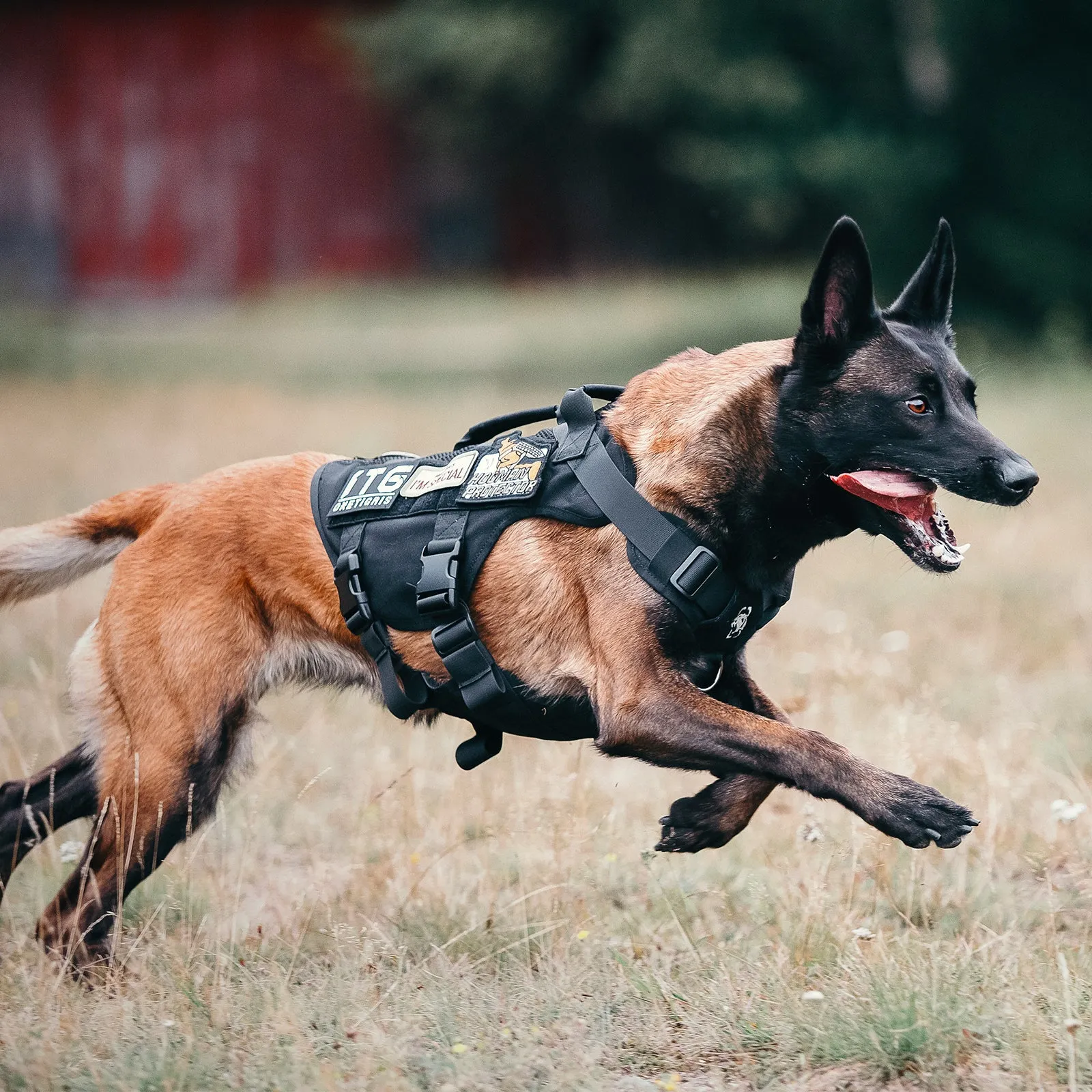 ONETIGRIS AIRE Mesh Dog Harness